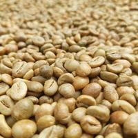 Gambar Kopi Pangandaran- Green Bean  Coffee Robusta Pangandaran Fine Export -Natural Proses- 1Kg-(GRATIS ONGKIR) dari KOPI PANGANDARAN undefined 4 Tokopedia