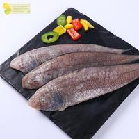 Gambar Ikan Lidah Lidah Segar Ikan Lidah Utuh Seafood Ikan Laut Segar 1Kg dari Segar Laut Asia undefined 2 Tokopedia