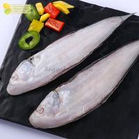 Gambar Ikan Lidah Lidah Segar Ikan Lidah Utuh Seafood Ikan Laut Segar 1Kg dari Segar Laut Asia undefined 1 Tokopedia