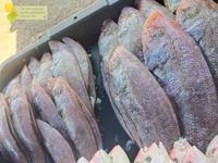 Gambar Ikan Lidah Lidah Segar Ikan Lidah Utuh Seafood Ikan Laut Segar 1Kg dari Segar Laut Asia undefined 3 Tokopedia
