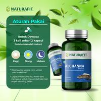 Gambar ALCHANNA Obat Herbal exstrsak gabus Membantu proses penyembuhan luka - 30 kapsul dari naturafitstore undefined 4 Tokopedia