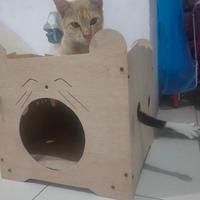Gambar Diskon House Rumah Kucing dari SELALUSTOCK.COM undefined 3 Tokopedia