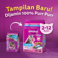 Gambar GOSEND Whiskas Junior Makanan Anak Kucing Kitten Ocean Fish 6.5 KG dari CV PERMATA SAHABAT MAJU undefined 5 Tokopedia