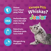 Gambar WHISKAS Dry Junior Ocean Fish 6.5 Kg - Makanan Kucing Kering dari CV PERMATA SAHABAT MAJU undefined 3 Tokopedia