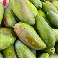 Gambar Mangga Kiojay 1kg Manis Garing dari rfshop92 undefined 1 Tokopedia