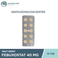 Gambar Febuxostat 40 mg 10 Tablet / Obat Asam Urat dari Apotekmandjurofficial undefined 2 Tokopedia