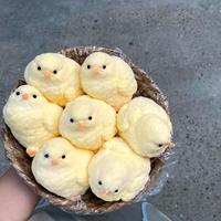 Gambar TABA SQUISHY VIRAL CHICKEN/AYAM STRESS RELIEF TOY IMPORT CHINA QUALITY dari john sugianto undefined 3 Tokopedia