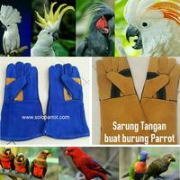 Gambar Sarung tangan burung Parrot Liar Nuri Afgrey Kakatua Macau dari Olaf Pine undefined 5 Tokopedia