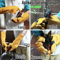 Gambar Sarung tangan burung Parrot Liar Nuri Afgrey Kakatua Macau dari Olaf Pine undefined 2 Tokopedia