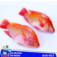 Gambar Ikan Nila Hidup Segar Premium Diambil Sesuai Orderan 500gr 1000gr 1kg - 500gr dari Kebersihan Jogja undefined 1 Tokopedia