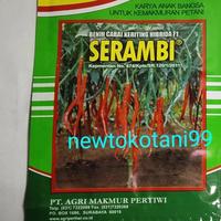 Gambar Benih cabe SERAMBI F1 10 gram cabe kriting cmk serambi 10gr cabe keriting hibrida dari benih pertiwi dari DAMARA 77 STORES undefined 1 Tokopedia