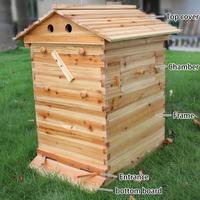 Gambar Beehive Boxes Automatic Wooden Beehive House Self Honey Harvesting System Beehive Bees Box Beekeeping Tools Beekeeping Equipment - 1PCs dari notfound40 undefined 2 Tokopedia