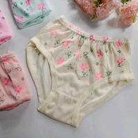 Gambar 12Pcs CD Hyget Celana Dalam Wanita Katun Obral Hyget Haid - 6Pcs, XXL dari Gudal Grosir Daleman undefined 4 Tokopedia