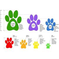 Gambar Best Seller Pawz Disposable Rubber Dog Boots (UNTUK ANJING SEMUA UKURAN) - Hitam, TINY dari Satriyaa36 undefined 1 Tokopedia