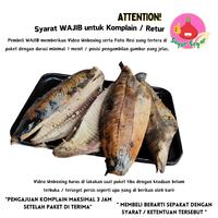 Gambar Ikan TongkoL Pindang/Ikan Tongkol Potong/Ikan Cue Tongkol Pindang - 200gr dari BawangBagus undefined 3 Tokopedia
