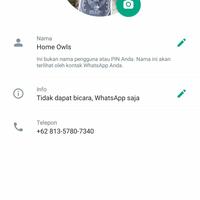 Gambar Burung hantu tyto alba/barn owl/serak jawa dares (pesanan kusus) dari Home Owl Aviary undefined 2 Tokopedia