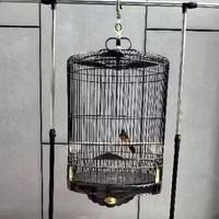 Gambar gantungan sangkar burung gantungan jemur burung stand hanger jemuran multifungsi serbaguna dari nanostotes undefined 2 Tokopedia