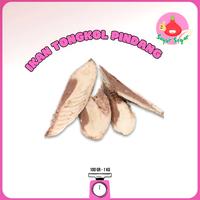 Gambar Ikan TongkoL Pindang/Ikan Tongkol Potong/Ikan Cue Tongkol Pindang - 200gr dari BawangBagus undefined 1 Tokopedia
