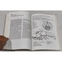 Gambar Buku ZOOLOGY COLORING BOOK By LAWRENCE M. ELSON _ A2 dari Toko Buku Kenangan undefined 3 Tokopedia