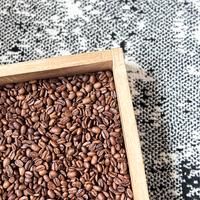 Gambar Flood's Selective Fruity Full Arabica Blend Espresso Natural and Washed dari Flood Coffee Roastery undefined 2 Tokopedia