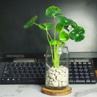 Gambar GARANSI PECAH  vas bunga kaca bentuk kaleng lucu minimalis dari RMstore24 undefined 2 Tokopedia