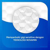 Gambar Sensodyne Pasta Gigi Sensitif Repair & Protect Whitening 2x100gr + Sikat Gigi Sensitif Multi Action Soft 3s dari Sensodyne Indonesia undefined 4 Tokopedia