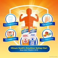 Gambar Scott's Vitamin dengan Omega 3, Vitamin A dan D + Kalsium Vita Rasa Jeruk 24x400ml [24 PCS] dari Sensodyne Indonesia undefined 4 Tokopedia