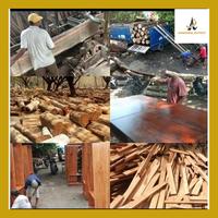 Gambar Putput Papan Kayu Jati Perhutani 1Cmx10Cm Panjang 50 Cm Sudah Pasah Halus dari Anggoro Putput undefined 5 Tokopedia