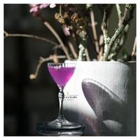 Gambar Nick and Nora Glass America 20's 140ml Cocktail Glass Original Product dari Rukoyoh Shop undefined 3 Tokopedia