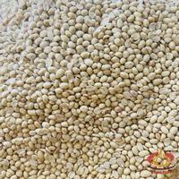Gambar Kacang Tanah Kupas 61/71 1 dus karton 25 kg ukuran kecil instant dari Bumbubos undefined 3 Tokopedia