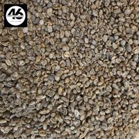 Gambar Green Bean Arabica Cabutan/ Sortiran Tangan (komersial kopi) - Green Bean Arabika Cabutan 10kg dari Fortysixcoffee undefined 2 Tokopedia