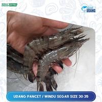 Gambar Udang Pancet Segar Jumbo 1 kg/udang pancet/udang black tiger ak.30 - 250 grsm dari Rumah Udang Jakarta undefined 2 Tokopedia