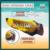 Gambar READY TERLARIS MAINAN IKAN GOYANG-GOYANG,UGET UGET MASAK-MASAKAN, KADO ANAK LUCU UNIK|GOYANG2 KOI ARWANA MAS NEMO - Salmon dari santisetyamarini undefined 5 Tokopedia