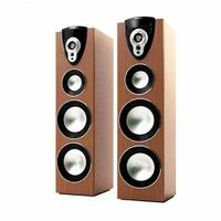 Gambar Polytron PAS 59 Aktif Speaker Bluetooth USB XBR Garansi Resmi SNI dari Speaker 62 Store undefined 4 Tokopedia