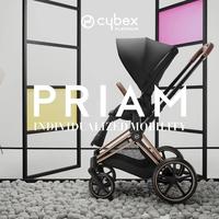 Gambar Stroller Kereta Dorong Bayi Cybex Priam Platinum Rose Gold Original New dari Kemenangan Babyshop undefined 1 Tokopedia