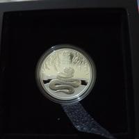 Gambar Proof Silver Coin Year of The Snake 1/2 oZ 2025 | Koin Perak Perth Mint Australia dari fannyrstore undefined 5 Tokopedia