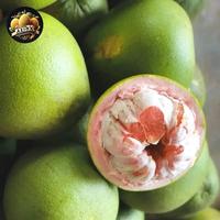Gambar Jeruk Pamelo Merah (jeruk bali madu) - Besar dari Ari NK Freshfruits undefined 1 Tokopedia