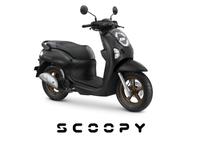 Gambar HONDA SCOOPY PRESTIGE & STYLISH - SEPEDA MOTOR BANDUNG - PRESTIGE WHITE dari APMotor_bdg undefined 3 Tokopedia