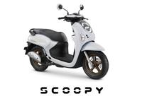 Gambar HONDA SCOOPY PRESTIGE & STYLISH - SEPEDA MOTOR BANDUNG - PRESTIGE WHITE dari APMotor_bdg undefined 1 Tokopedia