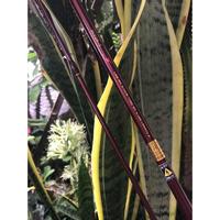 Gambar DISKON 50% Joran shimano scorpion ev custom 168/183cm,14-6lbring guide duji real set shimano cs - Hitam dari fishinghole78 undefined 5 Tokopedia