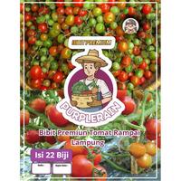 Gambar Bibit Premium Tomat Rampai Lampung | Benih Tomat Rampai dari Purplerain75 undefined 1 Tokopedia