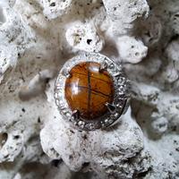 Gambar Batu Cincin Natural Tapak Jalak # 3 dari Nagatawa Ornamental Fish undefined 1 Tokopedia