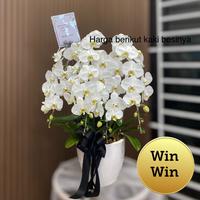Gambar Bunga vas anggrek premium/ulang tahun/birthday/anniversery/bunga ucapan dari dqueenflorist undefined 4 Tokopedia