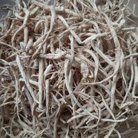 Gambar Akar Ginseng Premium / Yang Shen Xu / Yio Som Chiu 50gram dari Berbagi Kasih undefined 3 Tokopedia