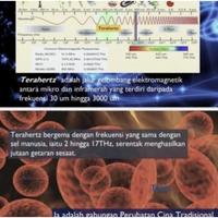 Gambar Alat Terapi / Itera Care Classic Prife 100% Original - Alat Terapi Kesehatan dari PT INDRAGUNA undefined 1 Tokopedia
