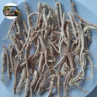 Gambar Akar Ginseng Premium / Yang Shen Xu / Yio Som Chiu 50gram dari Berbagi Kasih undefined 1 Tokopedia
