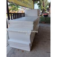 Gambar Styrofoam Gabus Sterofoam Lembaran 1 x 2 meter - 1.5cm dari STAR SAGITARIUS undefined 2 Tokopedia