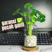 Gambar GARANSI PECAH  vas bunga kaca bentuk kaleng lucu minimalis dari RMstore24 undefined 1 Tokopedia