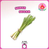 Gambar Sayur Segar - Batang Serai/Sereh/Lemongrass - 250 gr dari BawangBagus undefined 1 Tokopedia