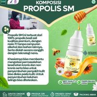 Gambar Obat Bisul Di Pantat Tangan Kaki Leher Ketiak Dan Di Area Kemaluan Pria Dan Wanita Bisul Pada Bayi Anak Herbal Propolis SM Berkualitas dari Berkahluthfi undefined 5 Tokopedia